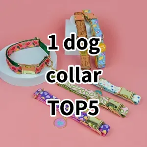 Top 5 Best-selling 1 dog collar