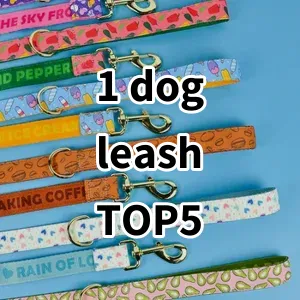 Top 5 Best-selling 1 dog leash