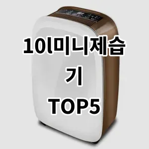 2024 10l미니제습기 추천 Top5