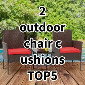 Top5 Best-selling 2 outdoor chair cushions