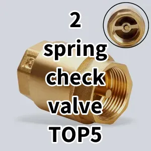 Top5 Best-selling 2 spring check valve