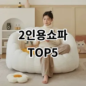 2024 2인용쇼파 추천 Top5