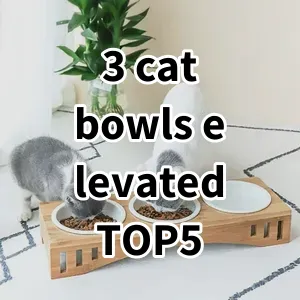 Top 5 Best-selling 3 cat bowls elevated