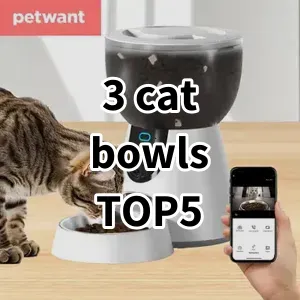 Top 5 Best-selling 3 cat bowls