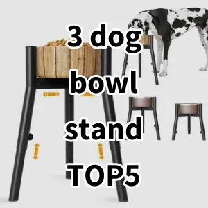 Top 5 Best-selling 3 dog bowl stand