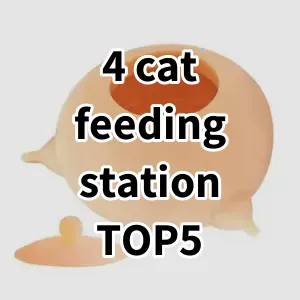 Top 5 Best-selling 4 cat feeding station