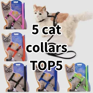 Top 5 Best-selling 5 cat collars