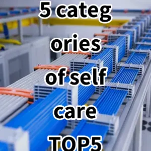 Top 5 Best-selling 5 categories of self care