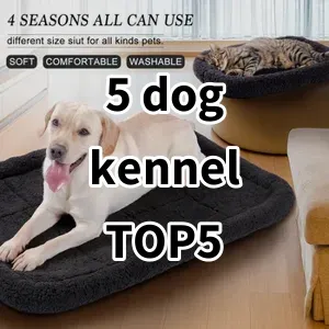 Top 5 Best-selling 5 dog kennel