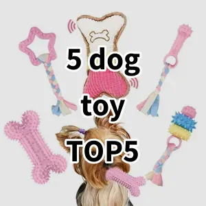 Top 5 Best-selling 5 dog toy