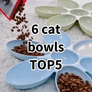 Top 5 Best-selling 6 cat bowls