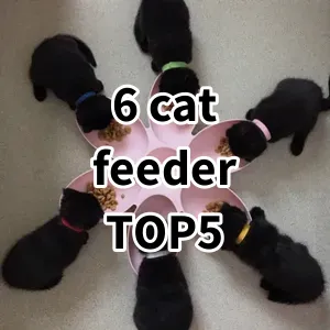 Top 5 Best-selling 6 cat feeder