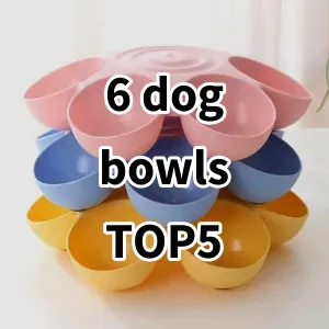 Top 5 Best-selling 6 dog bowls