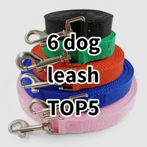 Top 5 Best-selling 6 dog leash