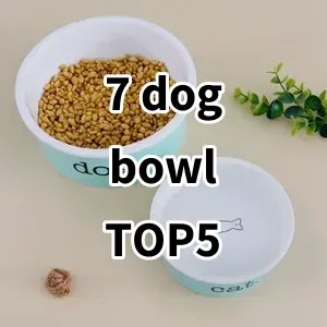 Top 5 Best-selling 7 dog bowl