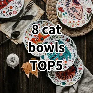 Top 5 Best-selling 8 cat bowls