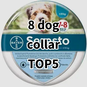 Top 5 Best-selling 8 dog collar