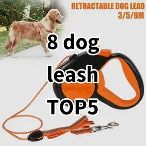 Top 5 Best-selling 8 dog leash