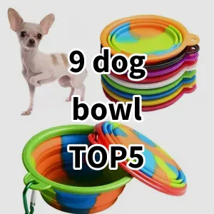 Top 5 Best-selling 9 dog bowl