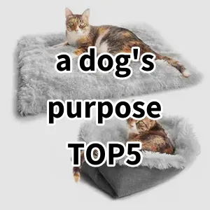 Top 5 Best-selling a dog's purpose