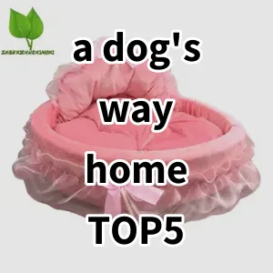 Top 5 Best-selling a dog's way home