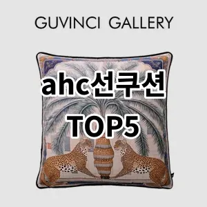 2024 ahc선쿠션 추천 Top5