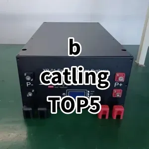 Top 5 Best-selling b catling