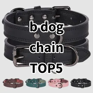 Top 5 Best-selling b dog chain