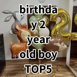 Top 5 Best-selling birthday 2 year old boy