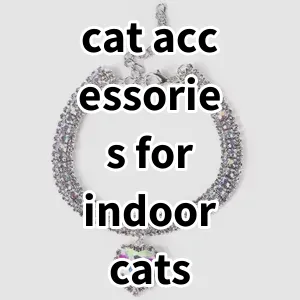 Top 5 Best-selling cat accessories for indoor cats