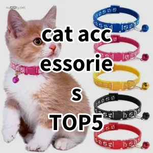 Top 5 Best-selling cat accessories