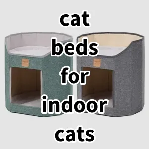 Top 5 Best-selling cat beds for indoor cats