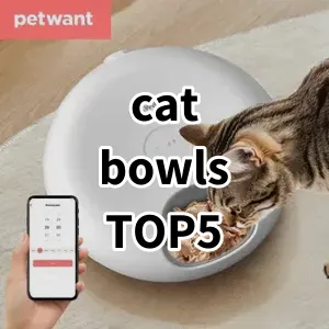 Top 5 Best-selling cat bowls