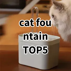 Top 5 Best-selling cat fountain