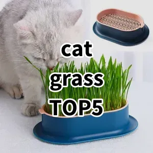 Top 5 Best-selling cat grass