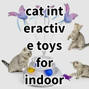 Top 5 Best-selling cat interactive toys for indoor cats