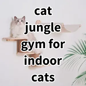 Top 5 Best-selling cat jungle gym for indoor cats