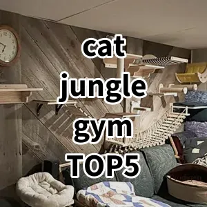 Top 5 Best-selling cat jungle gym