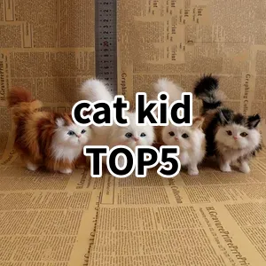 Top 5 Best-selling cat kid