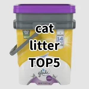 Top 5 Best-selling cat litter