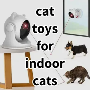 Top 5 Best-selling cat toys for indoor cats