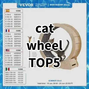 Top 5 Best-selling cat wheel