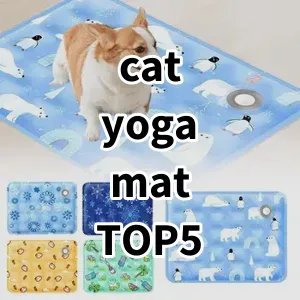 Top 5 Best-selling cat yoga mat