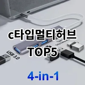 c타입멀티허브 가성비 상품 추천