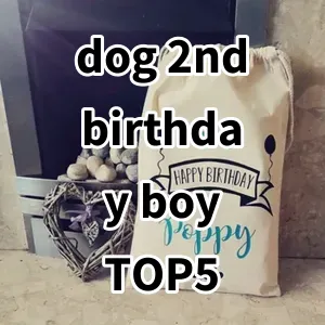 Top 5 Best-selling dog 2nd birthday boy