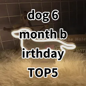 Top 5 Best-selling dog 6 month birthday