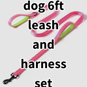 Top 5 Best-selling dog 6ft leash and harness set