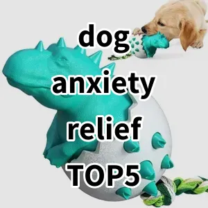 Top 5 Best-selling dog anxiety relief