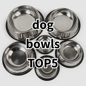 Top 5 Best-selling dog bowls