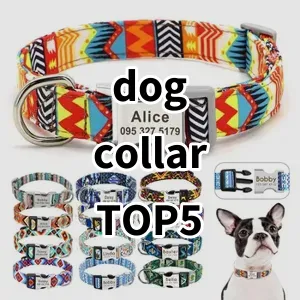 Top 5 Best-selling dog collar